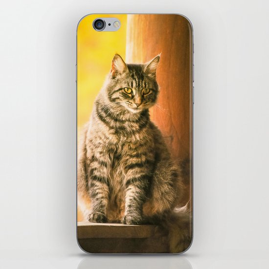 I Love Lucy iPhone & iPod Skin