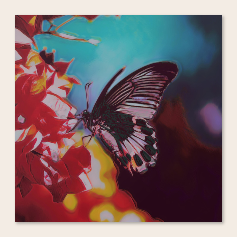 Black And White Butterfly On Red Flower Iii Canvas Print By