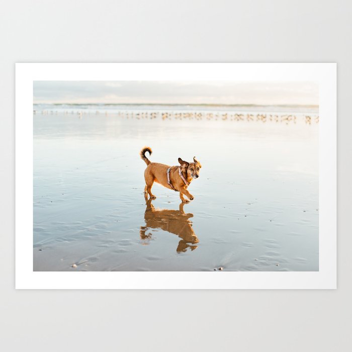 One dog and the sea Art Print