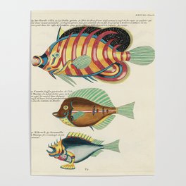 fish by Louis Renard Poster