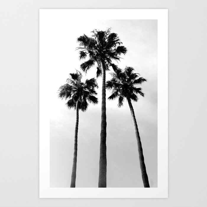 Palm Trees Three Art Print