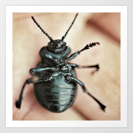 Bug Art Print