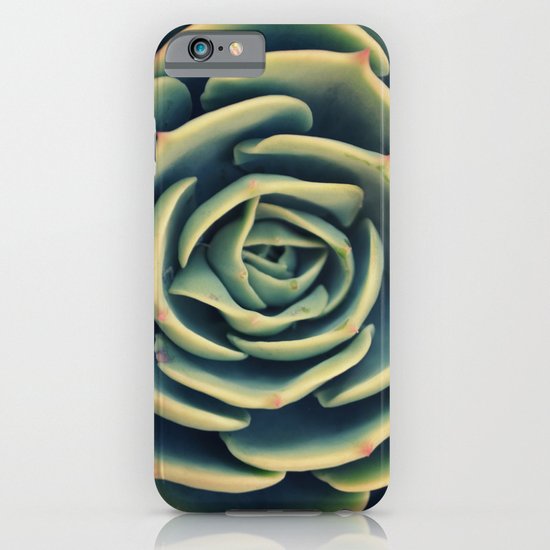 Echeveria x Imbricata Succulent iPhone & iPod Case