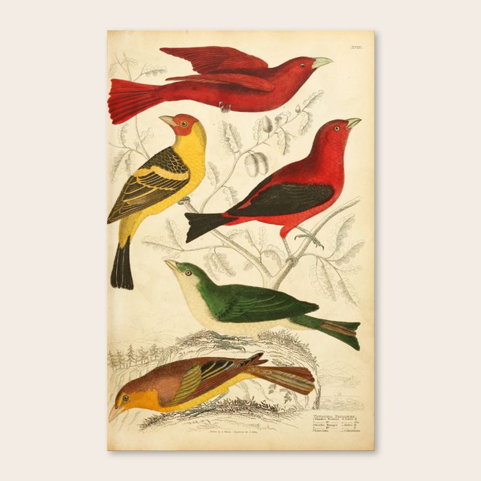Canvas Print