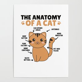 The Anatomy Of A Cat Explanation Of A Cat Poster