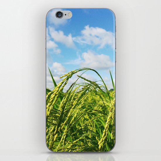 Ripe Rice iPhone & iPod Skin