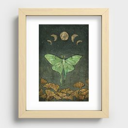 Luna Moth Recessed Framed Print