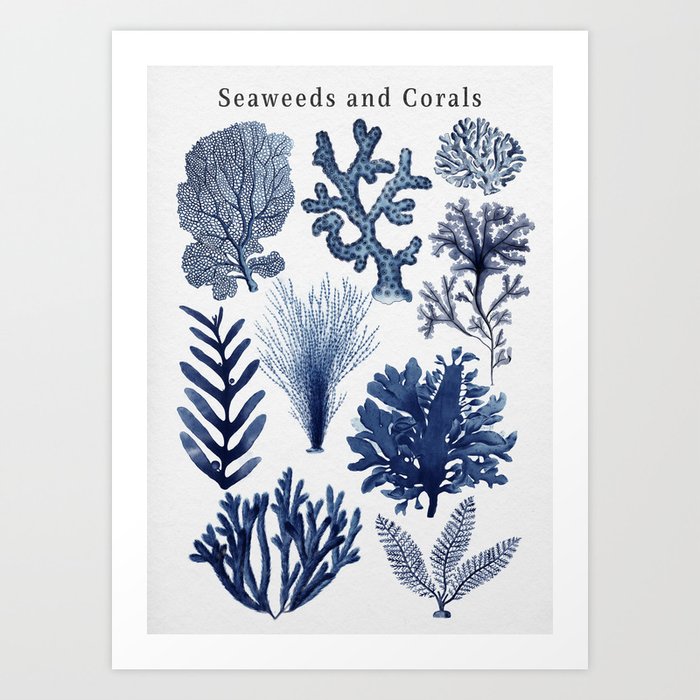 Seaweed And Corals In Blue Art Print