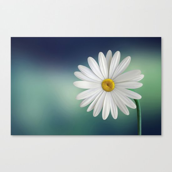 Marguerite Canvas Print