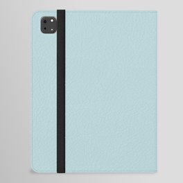 Light Aqua Gray Solid Color Pantone Cooling Oasis 12-5302 TCX Shades of Blue-green Hues iPad Folio Case