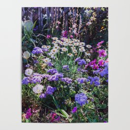 flora Poster