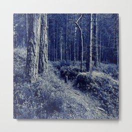 Drama on a Nature Trail in Black and White Metal Print
