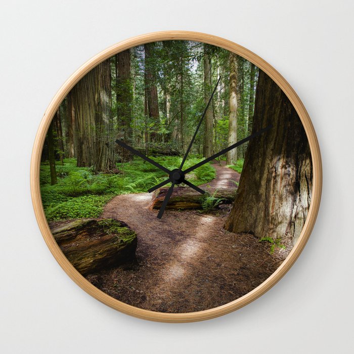 Walk Through The Redwoods Wall Clock
