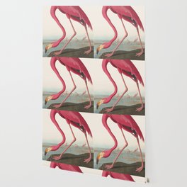 Vinatge Bird Illustration, American Flamingo Wallpaper