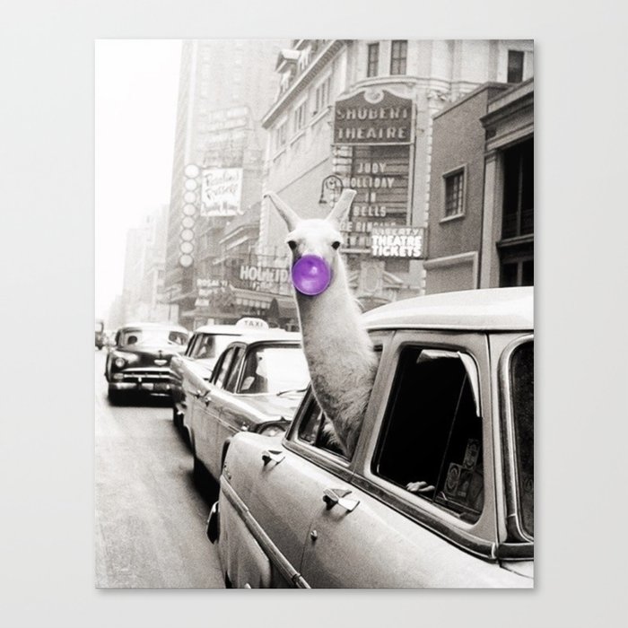 Hubba Bubba Purple Bubble Gum Llama taking a New York Taxi cab black and white photograph Canvas Print