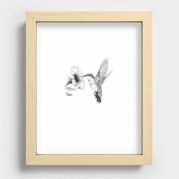 Hummingbird and flower (white background) Recessed Framed Print