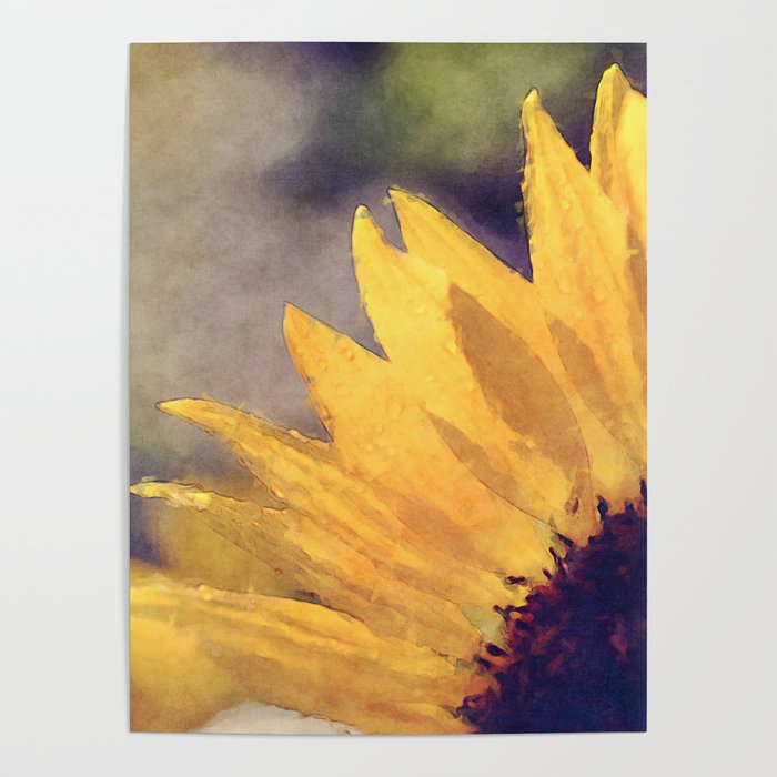 Another sunflower - Flower Flowers Summer Poster