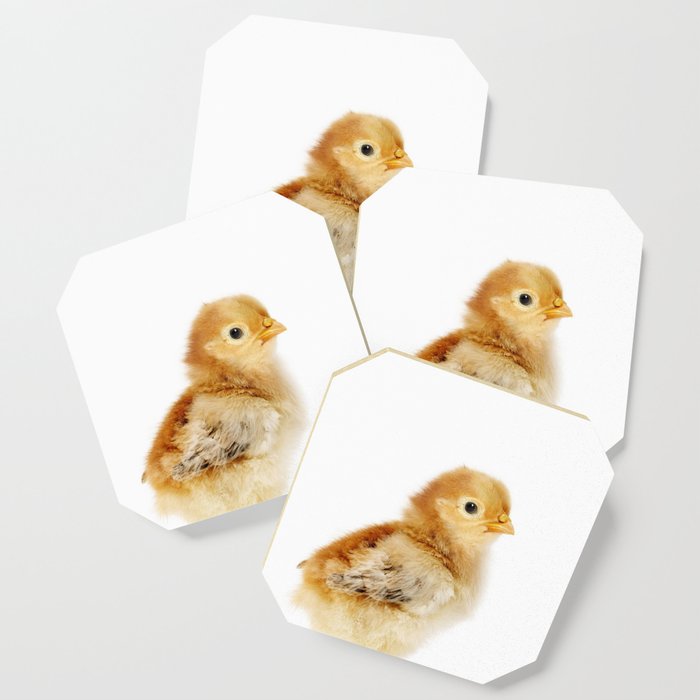 Chick, Baby Chicken, Farm Animals, Art for Kids, Baby Animals Art Print By Synplus Coaster by