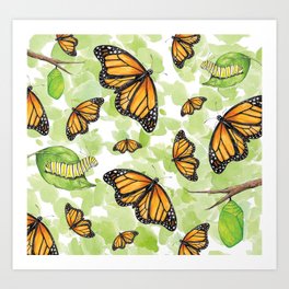 Monarch Butterfly Life Cycle Art Print
