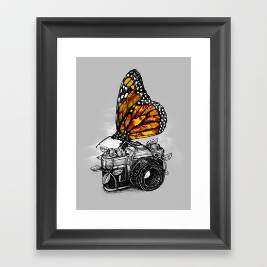 Nature Photography Framed Art Print