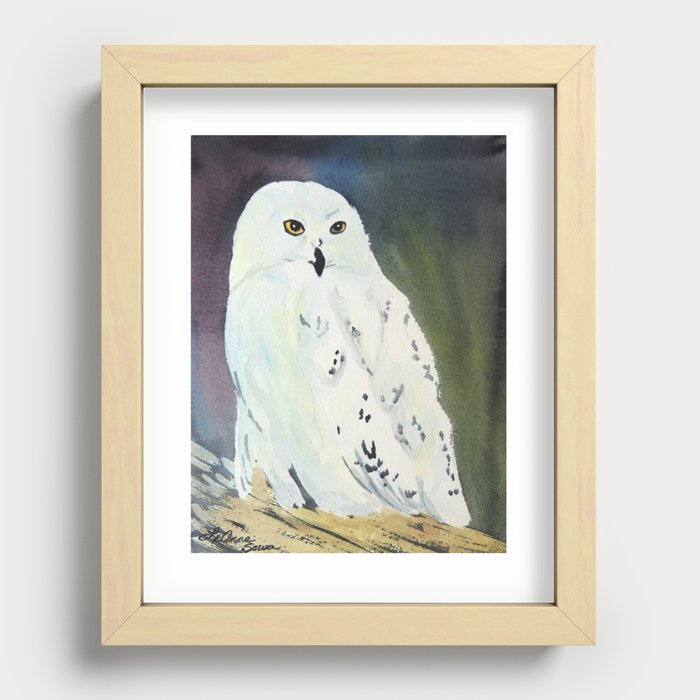Snowy Owl Recessed Framed Print