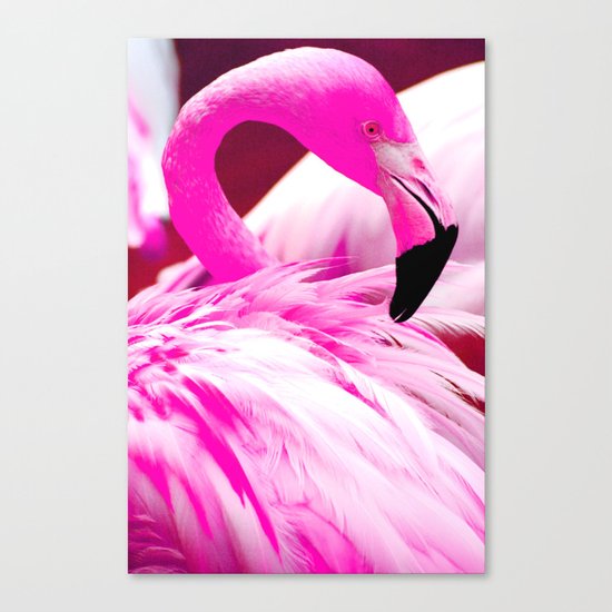 Fashion Flamingo Canvas Print