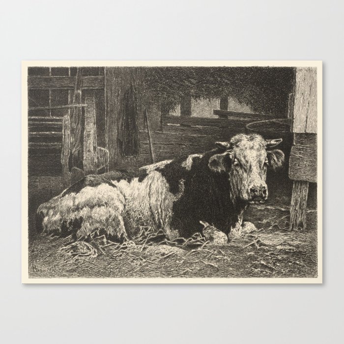 Bull Vintage Illustration Canvas Print