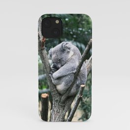 Snoozing Koala iPhone Case