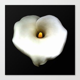 Artistic Single Heart Shaped Calla Lily Isolated On Black Canvas Print