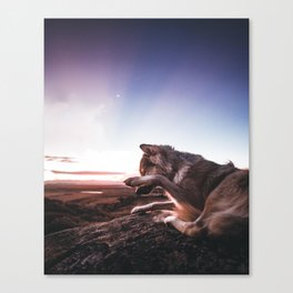 Early Morning Canvas Print