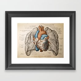 Vintage anatomy illustration Framed Art Print