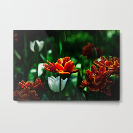 His Majesty the King Metal Print