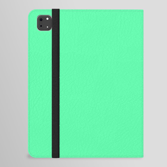 Monochrome green 85-255-170 iPad Folio Case