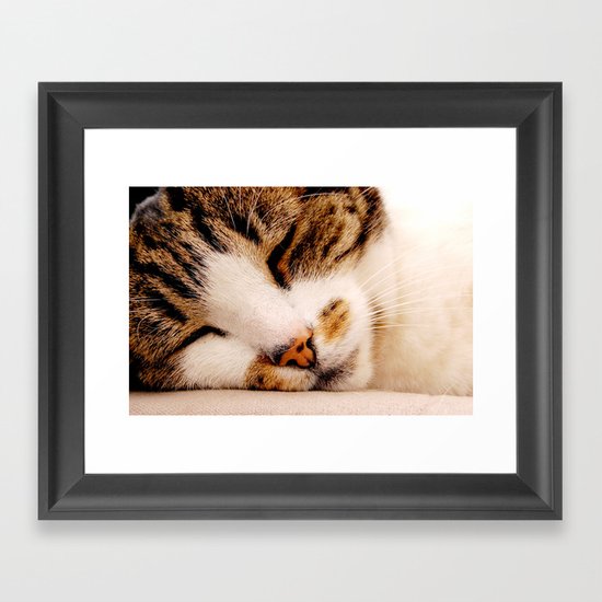 Sleepy Cat Framed Art Print