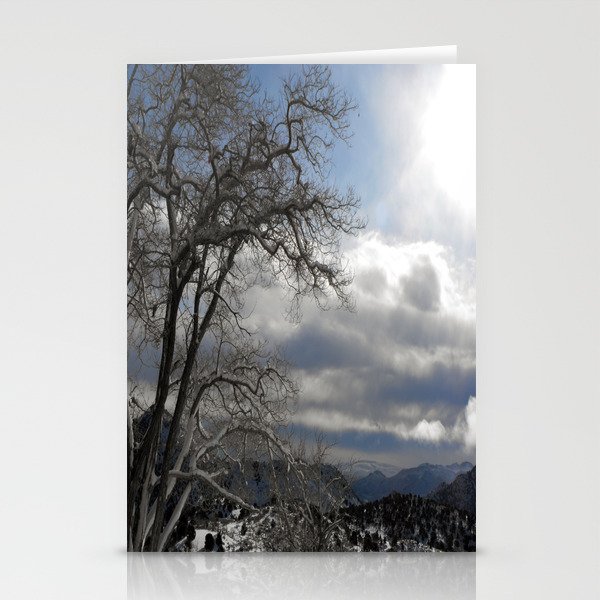 Winter in Spring Stationery Cards
