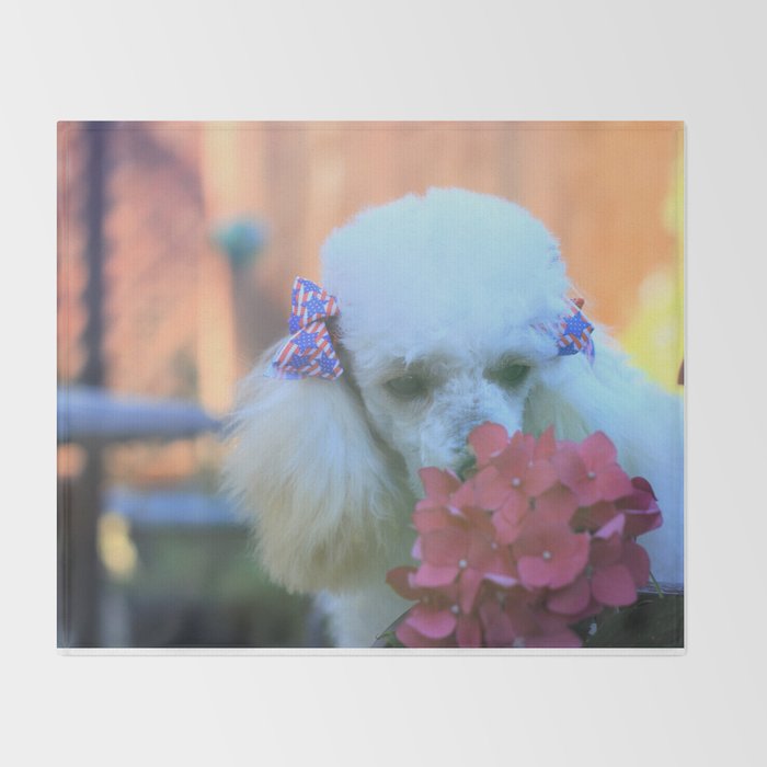 Toy Poodle In The Garden Throw Blanket By Ritmoboxerdesigns Society6 Toy Poodle In The Garden Throw Blanket
