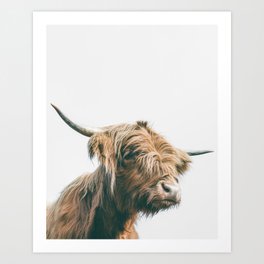 Majestic Highland cow portrait Art Print