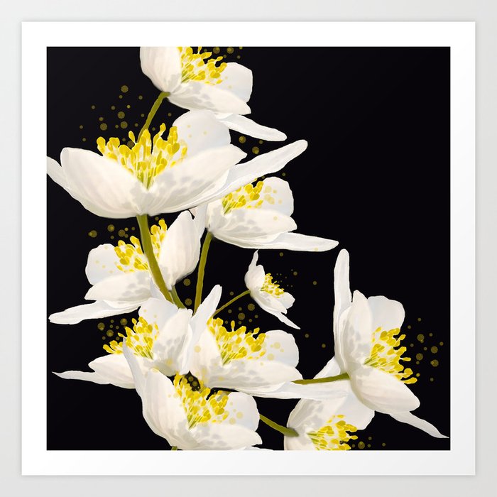 White Flowers On A Black Background #decor #society6 #buyart Art Print