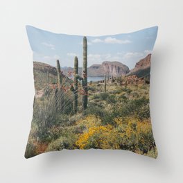 Arizona Spring Throw Pillow