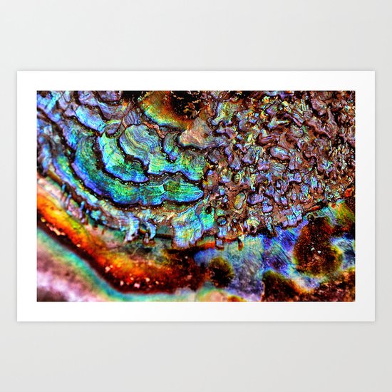 Vista Art Print