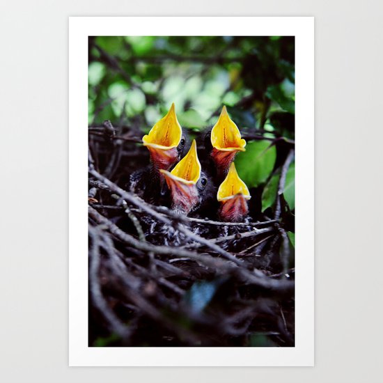 birdie Art Print