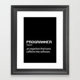 Computer Programmer / Developer Funny Wall Art Framed Art Print