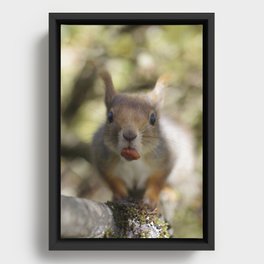"Here's that peanut I borrowed from you. Thanks!" Framed Canvas