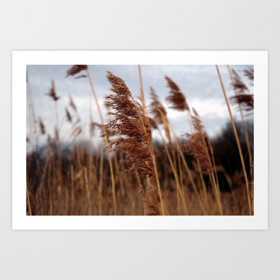 stay in the wind. Art Print