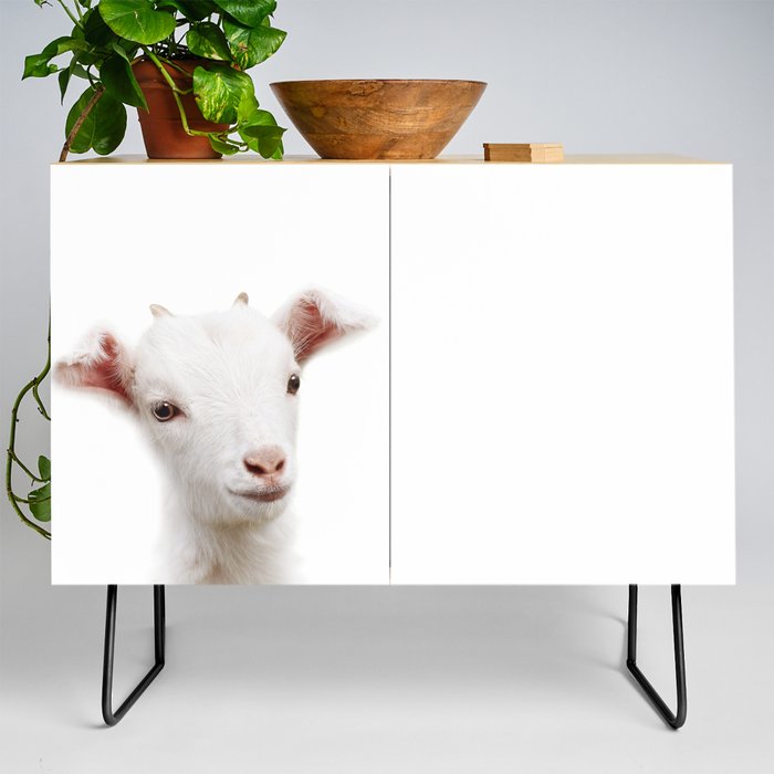 Baby Goat, Farm Animals, Art for Kids, Baby Animals Art Print By Synplus Credenza