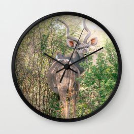 Kudu in the wilderness | Travel Photography | South Africa Wall Clock