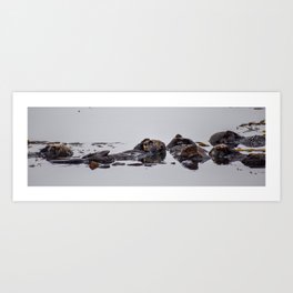 Shy Sea Otter Art Print