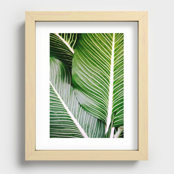 Big Leaves - Tropical Nature Photography Recessed Framed Print