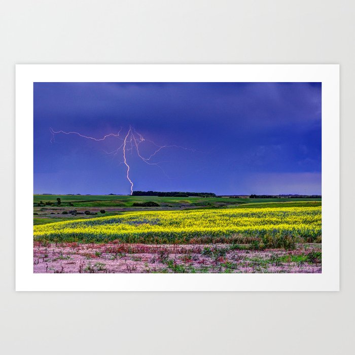 Lightning & Canola Art Print