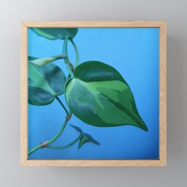 Philodendron Brasil House Plant Framed Mini Art Print